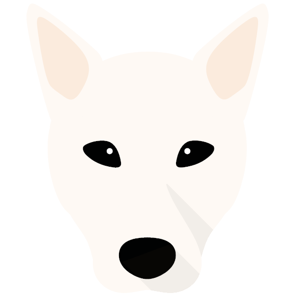 Canaan Dog Icon