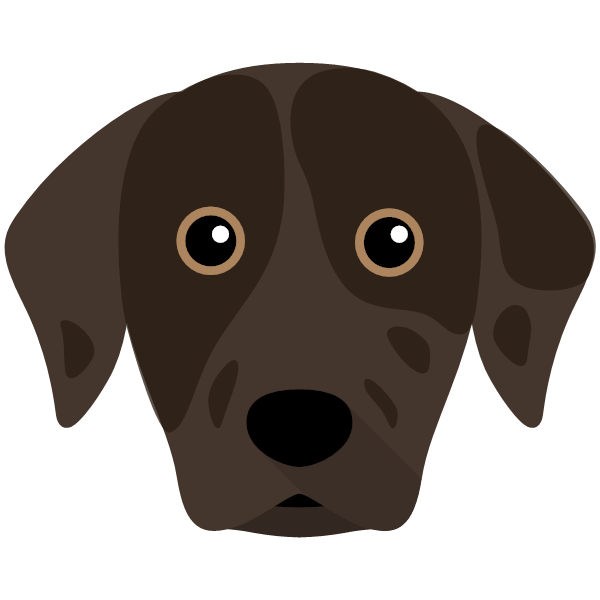 Icon for Catahoula Leopard Dog