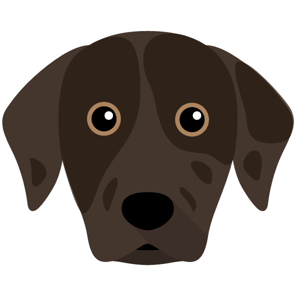 Catahoula Leopard Dog Icon