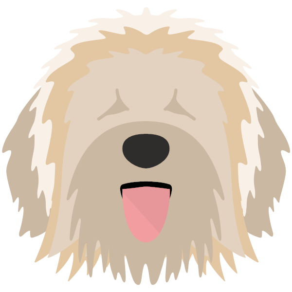 Catalan Sheepdog Icon