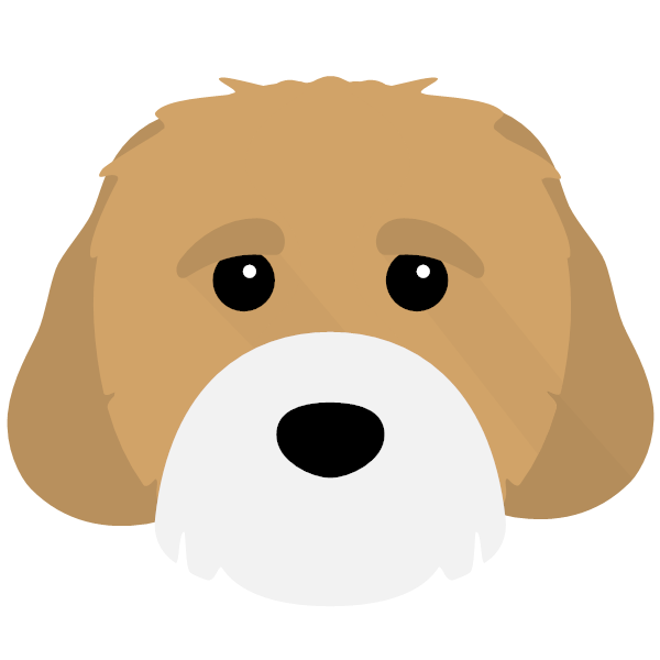 Cavachon Icon