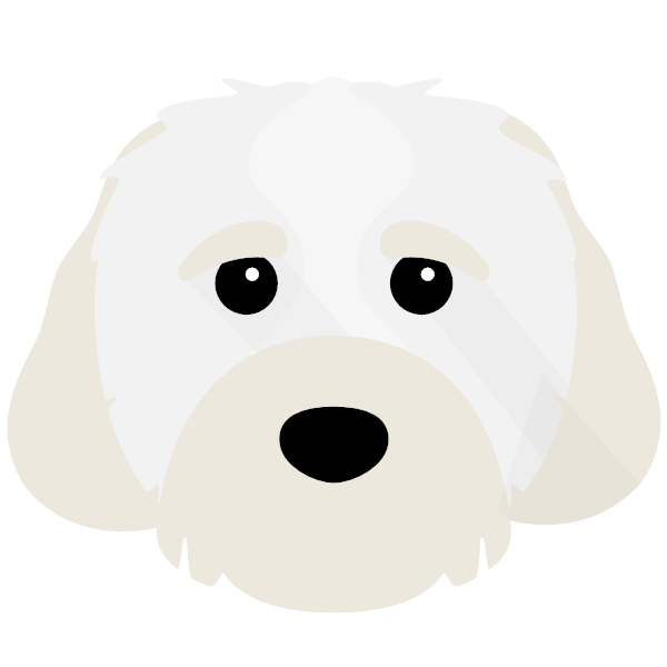 Dolly icon