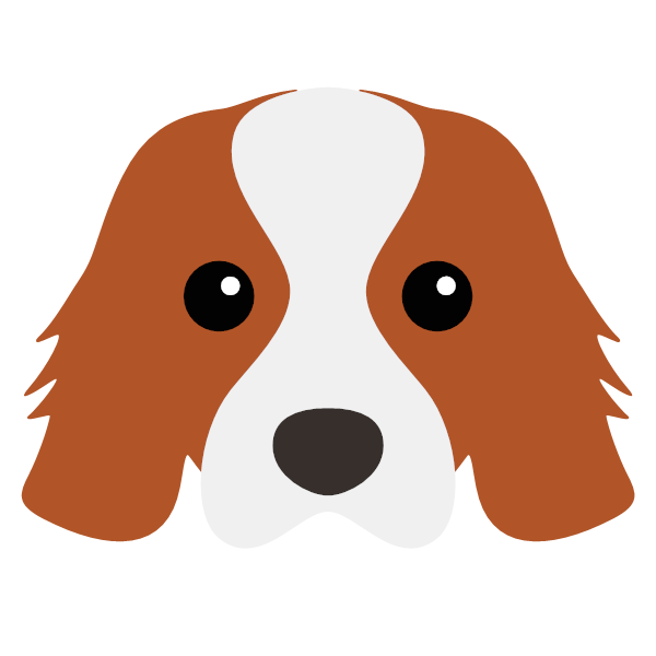 Icon for Cavalier King Charles Spaniel
