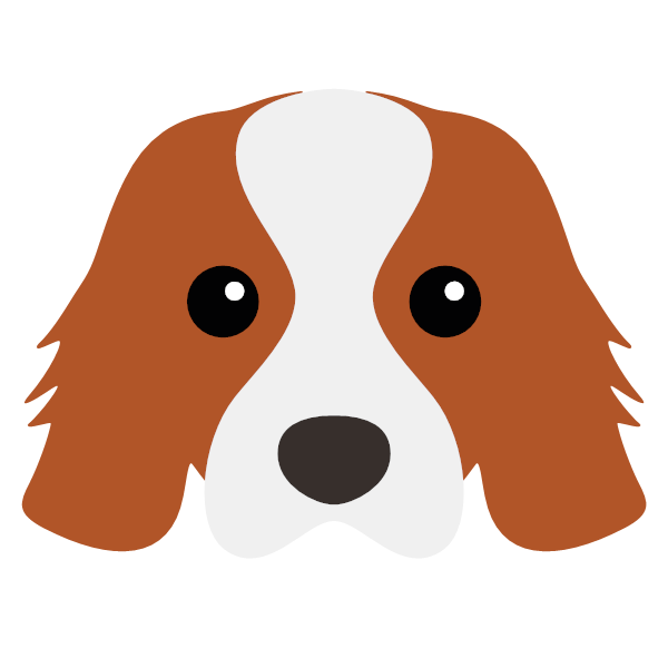 Bella icon