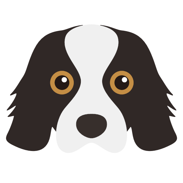 BENJI icon