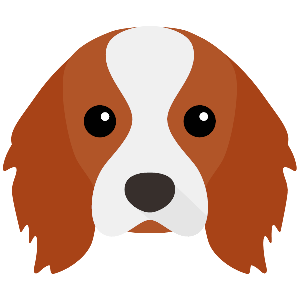 Cooper icon