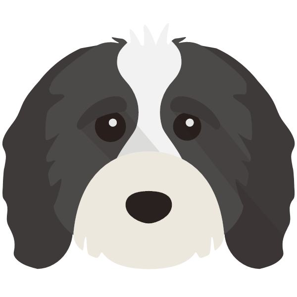 Bella icon