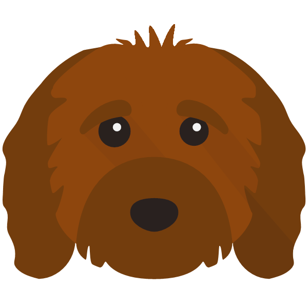 are cavapoos yappy dogs