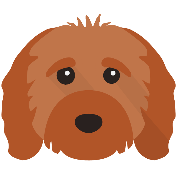 Buddy icon