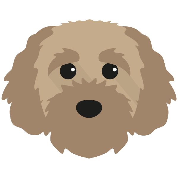 Cavapoochon icon