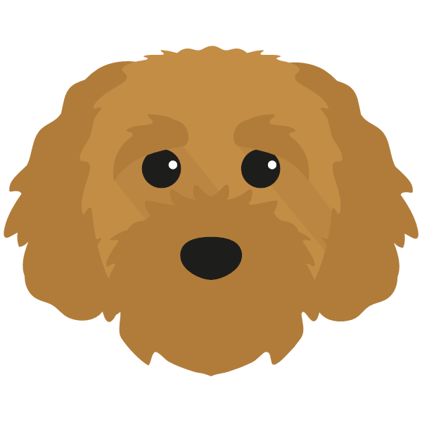 Teddy icon