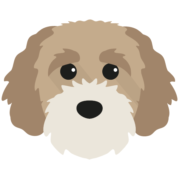 Cavapoochon Icon