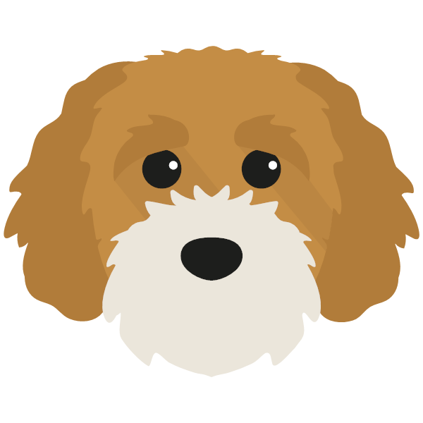 Cookie icon