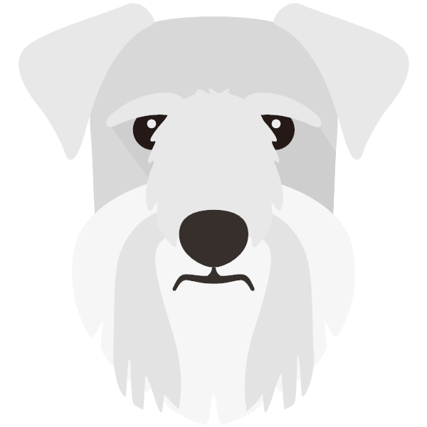 Cesky Terrier Icon