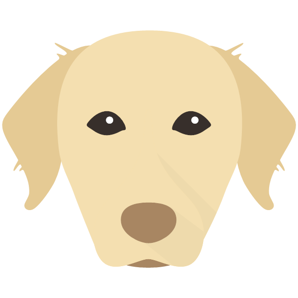 Chesapeake Bay Retriever Icon