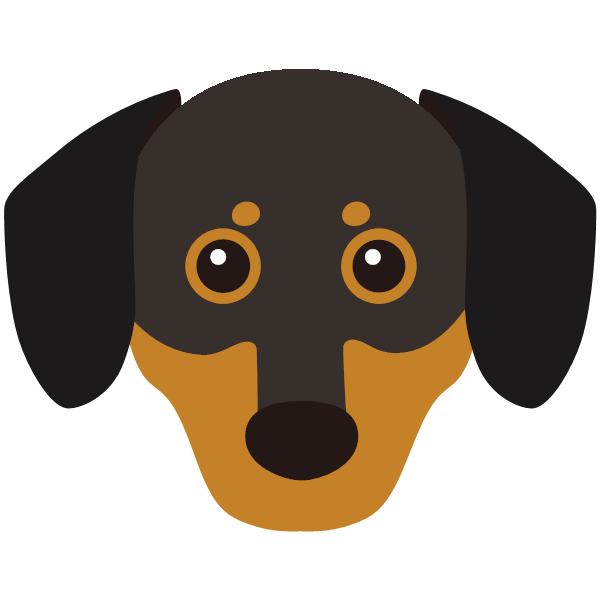 Chiweenie icon