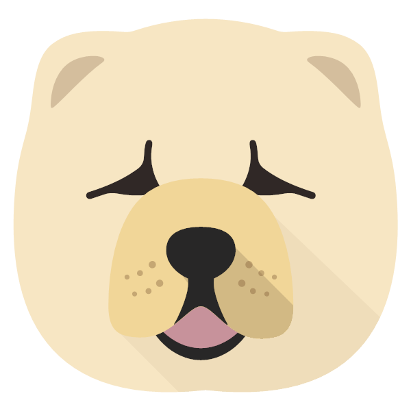 Chow Chow icon