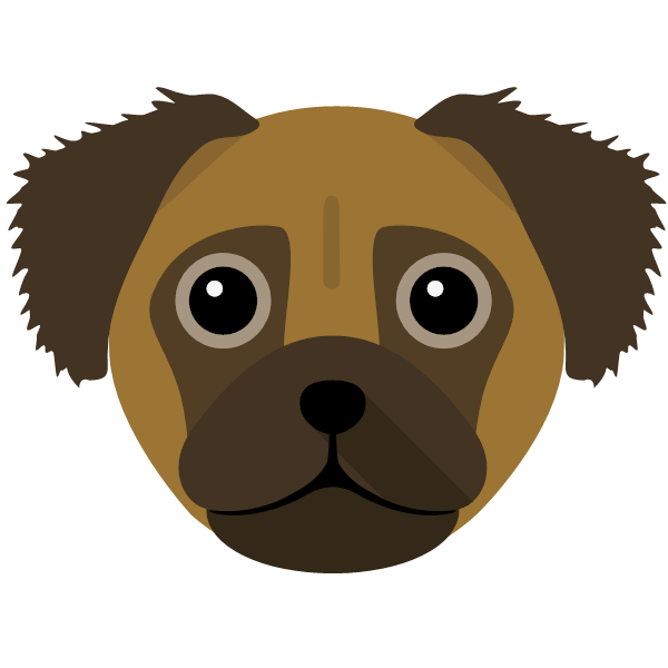 Rudy icon