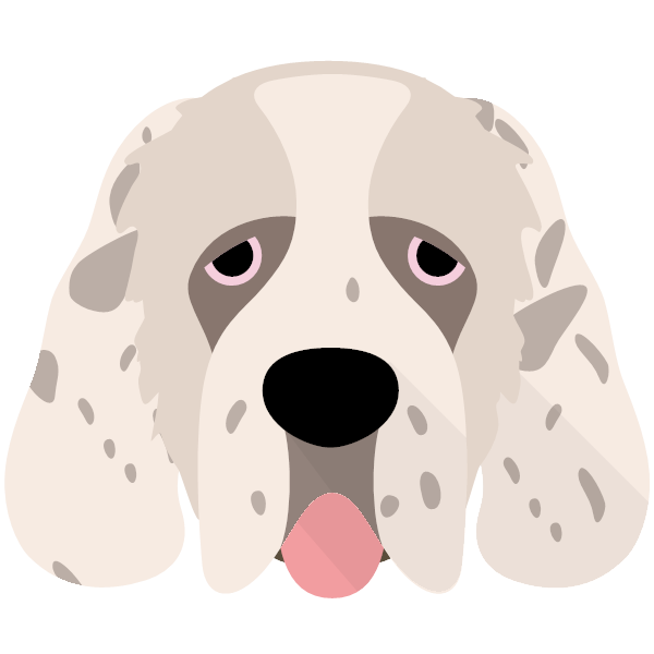 Personalised Clumber Spaniel Shop Yappy