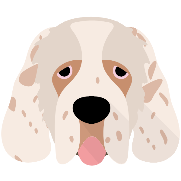 shop just for your Clumber Spaniel