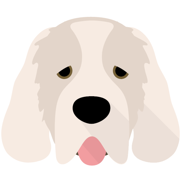 Clumber Spaniel Icon