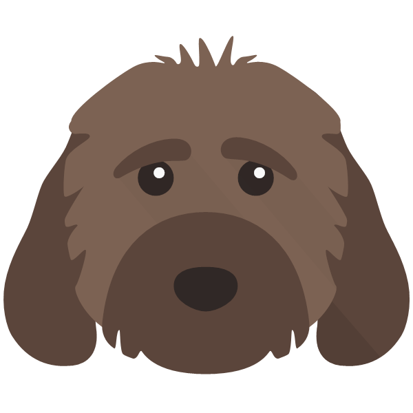 Coco icon