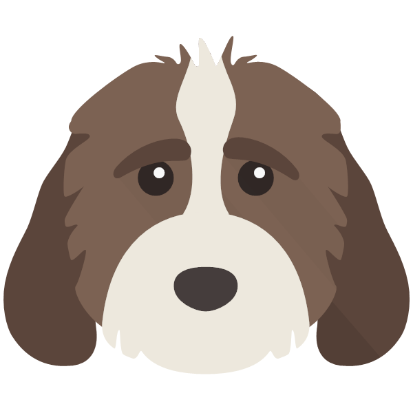 Chewie icon