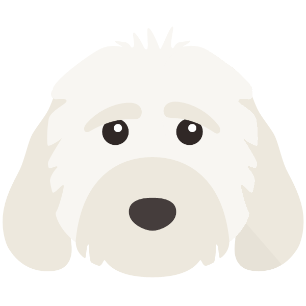 Cockapoo Icon