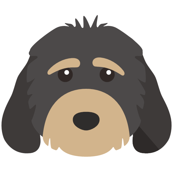 Wookiee icon