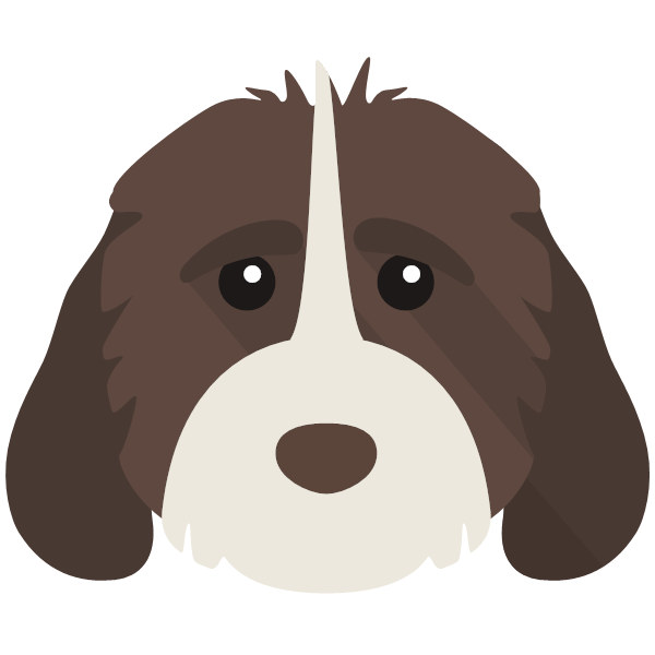 Ralph icon