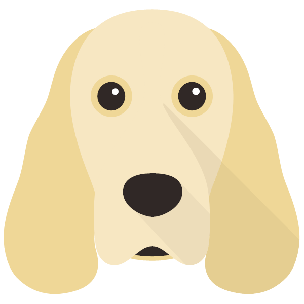 Cocker Spaniel Icon