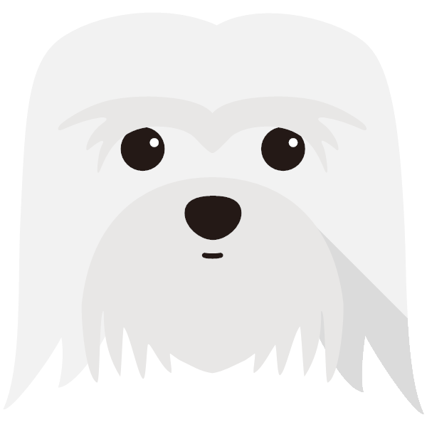 Coton De Tulear Icon