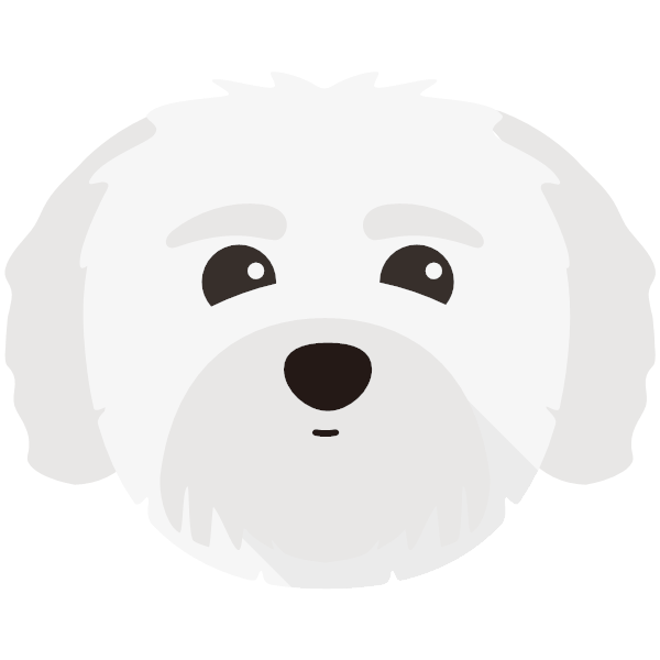 Teddy icon