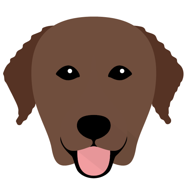 Curly Coated Retriever Icon