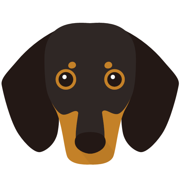 Dolly icon