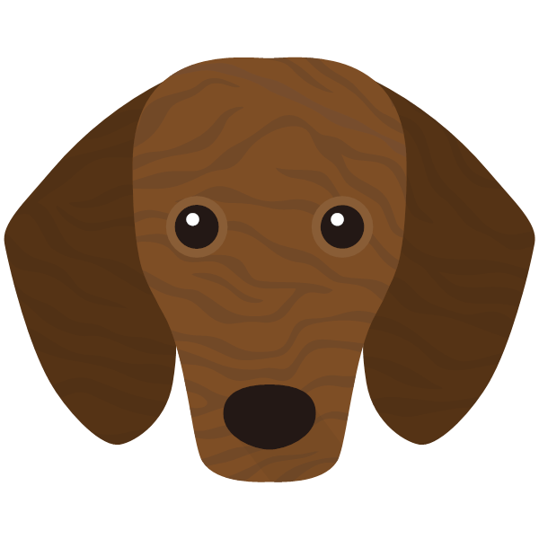 Dachshund shop sales