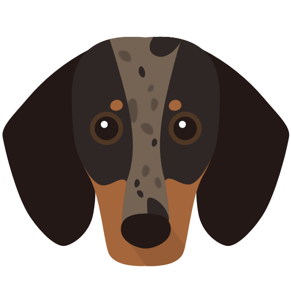 https://images.yappy.com/yappicon/dachshund/dachshund-33.png