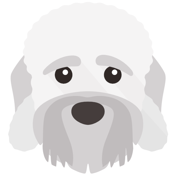 Icon for Dandie Dinmont Terrier