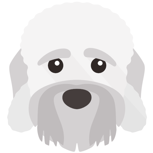 Dandie Dinmont Terrier Icon