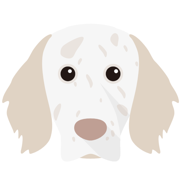 English Setter Icon