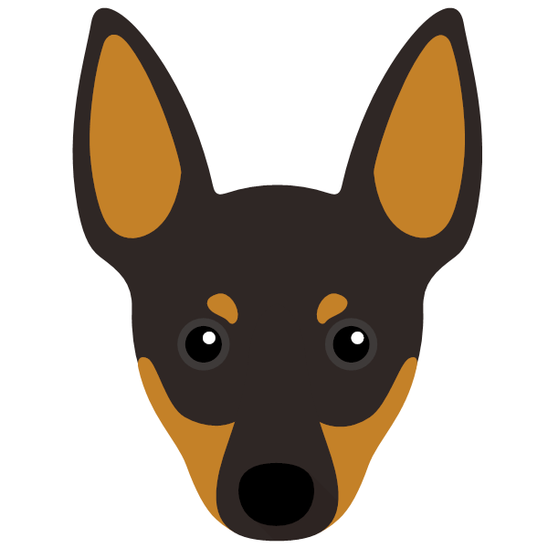 English Toy Terrier Icon