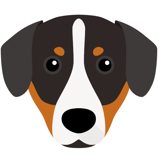 Entlebucher Mountain Dog Icon