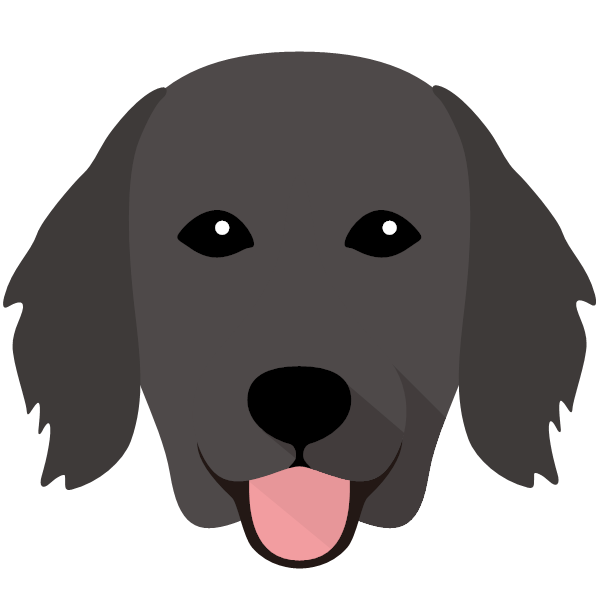 Flat-Coated Retriever Icon