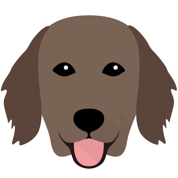 Flat-Coated Retriever icon