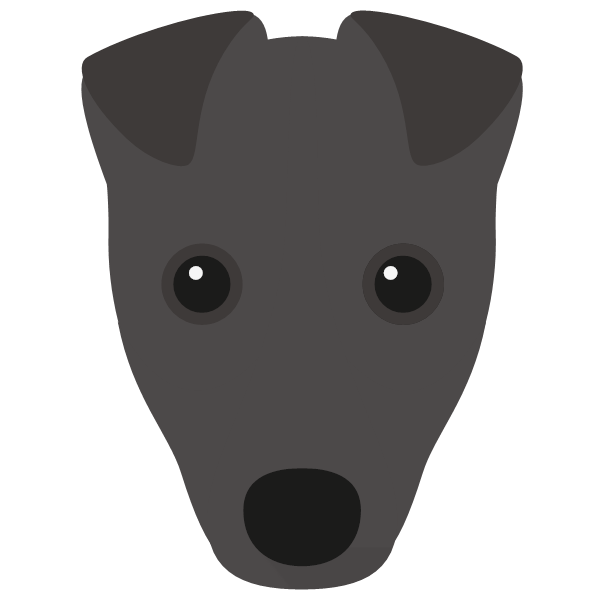 Fox Terrier Icon