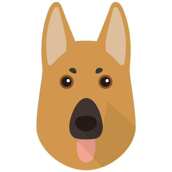 Arlo icon