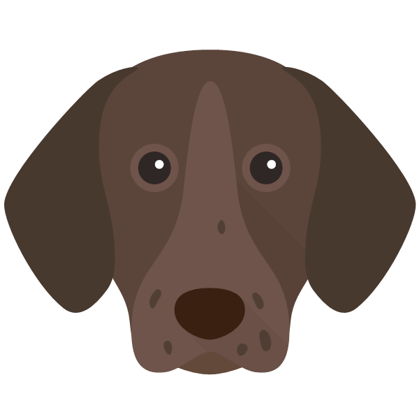 Icon for German Shorthaired Pointer