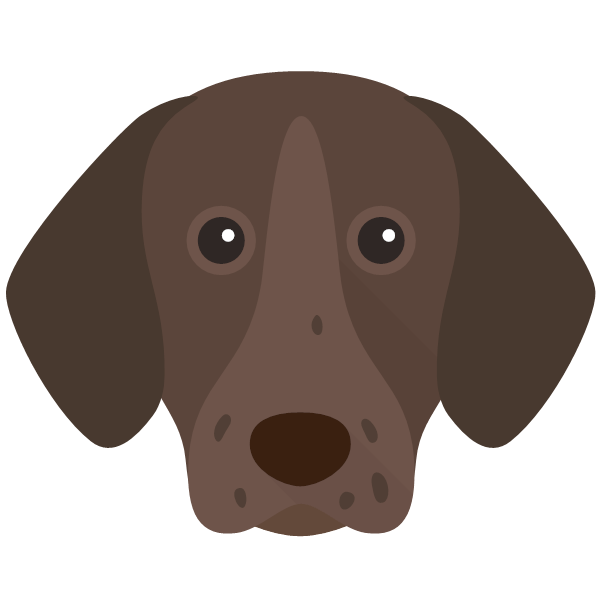 German shorthaired outlet pointer store