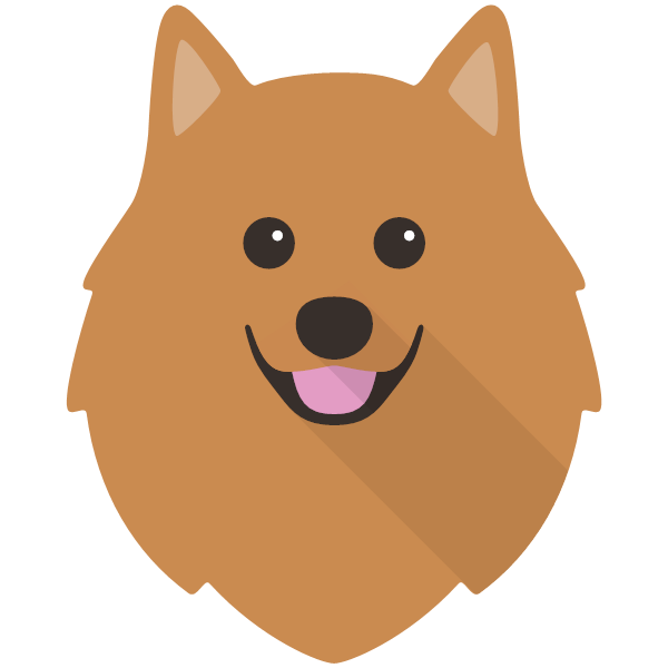 German Spitz Icon