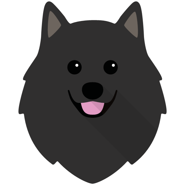 Rufus icon